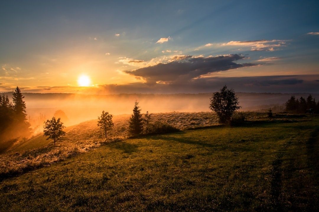 Goldene Stunde über einer nebligen Hügellandschaft mit Bäumen